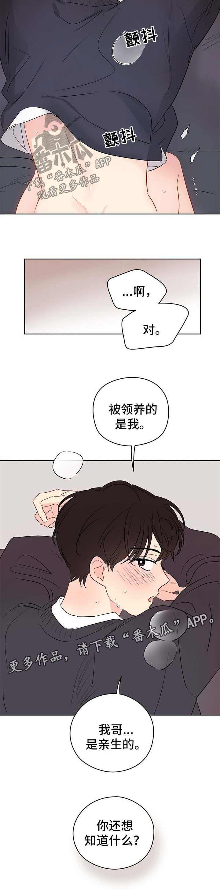 第31章：初恋的哥哥2