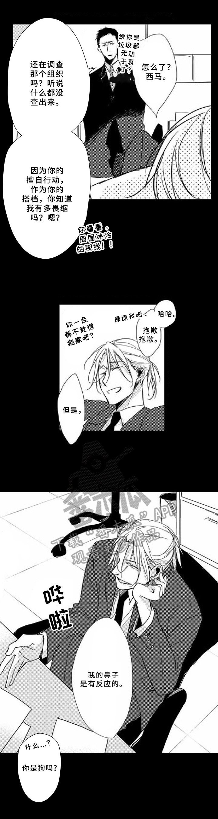 第7章：惊喜6