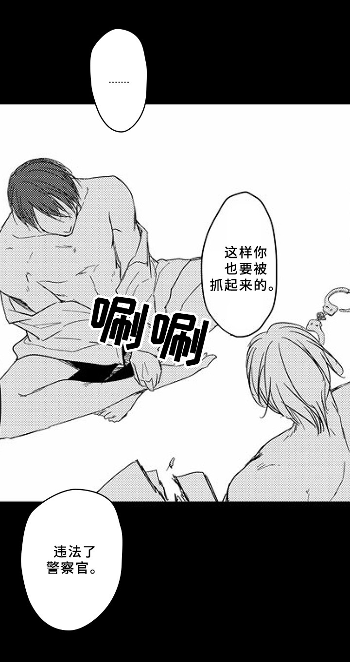 第12章：归属8
