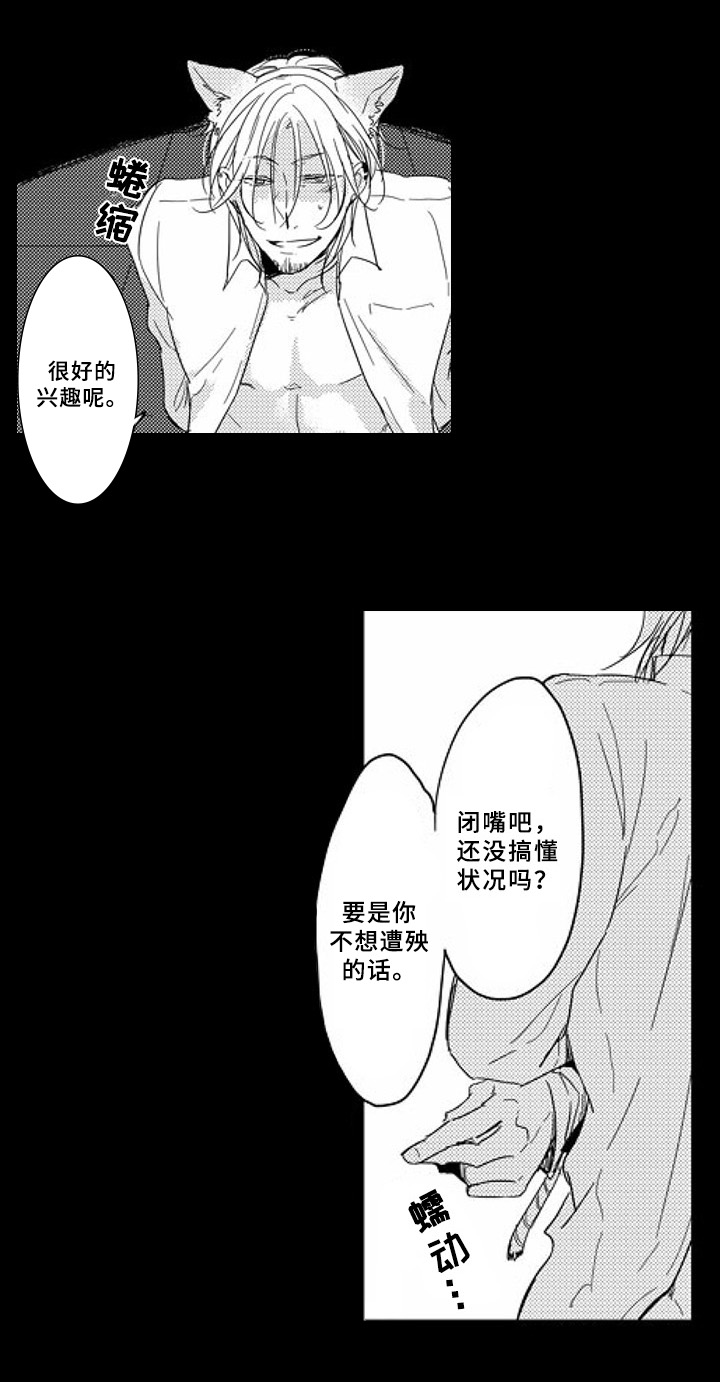 第8章：证据4