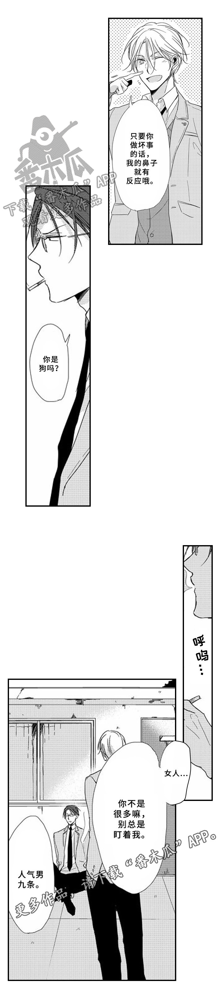 第7章：惊喜10