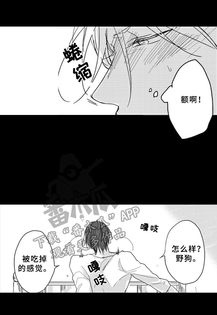 第14章：默契6