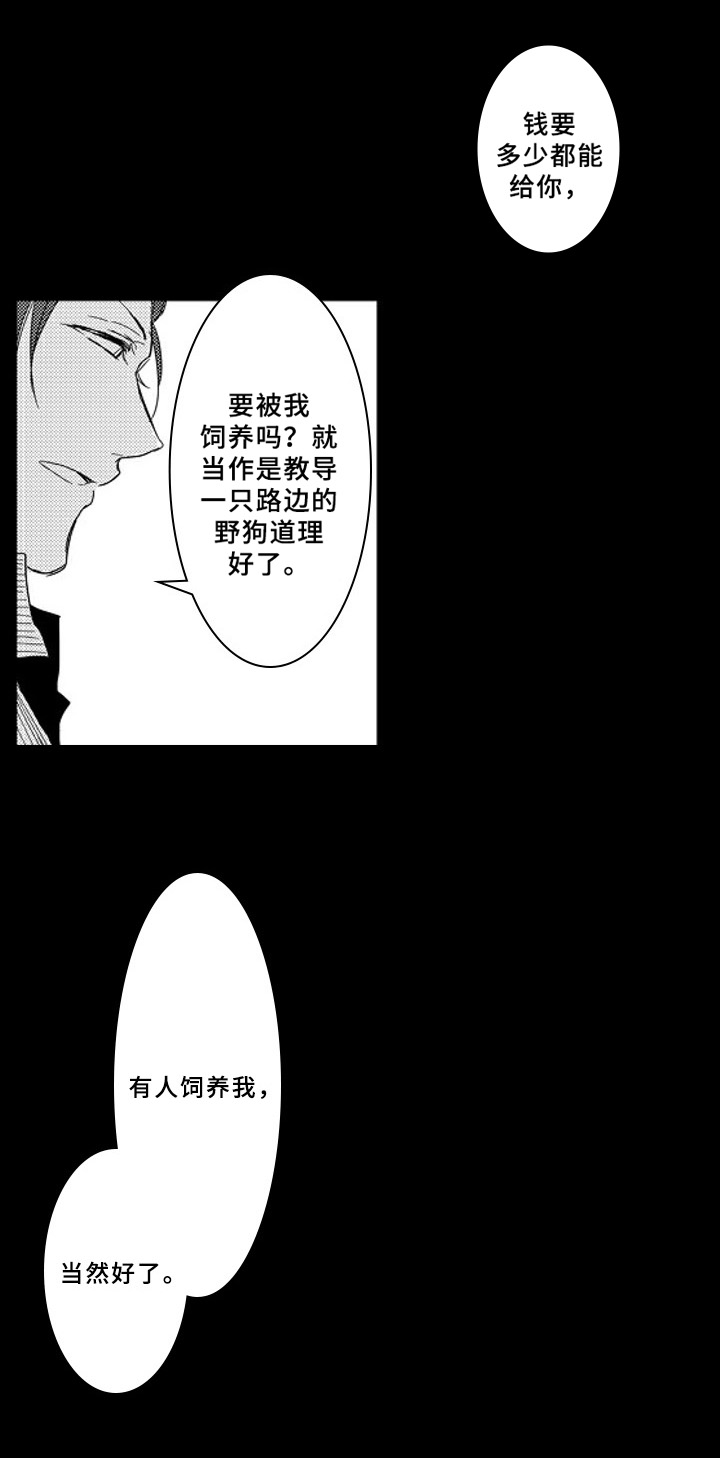 第3章：收留9
