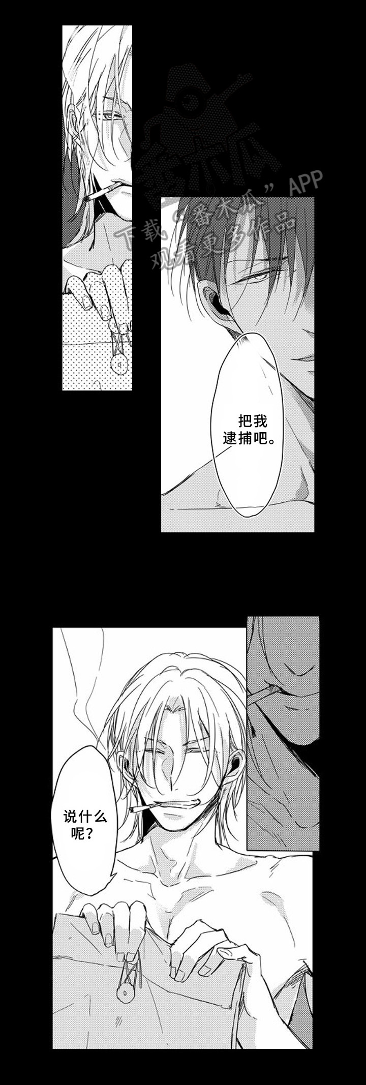第12章：归属6