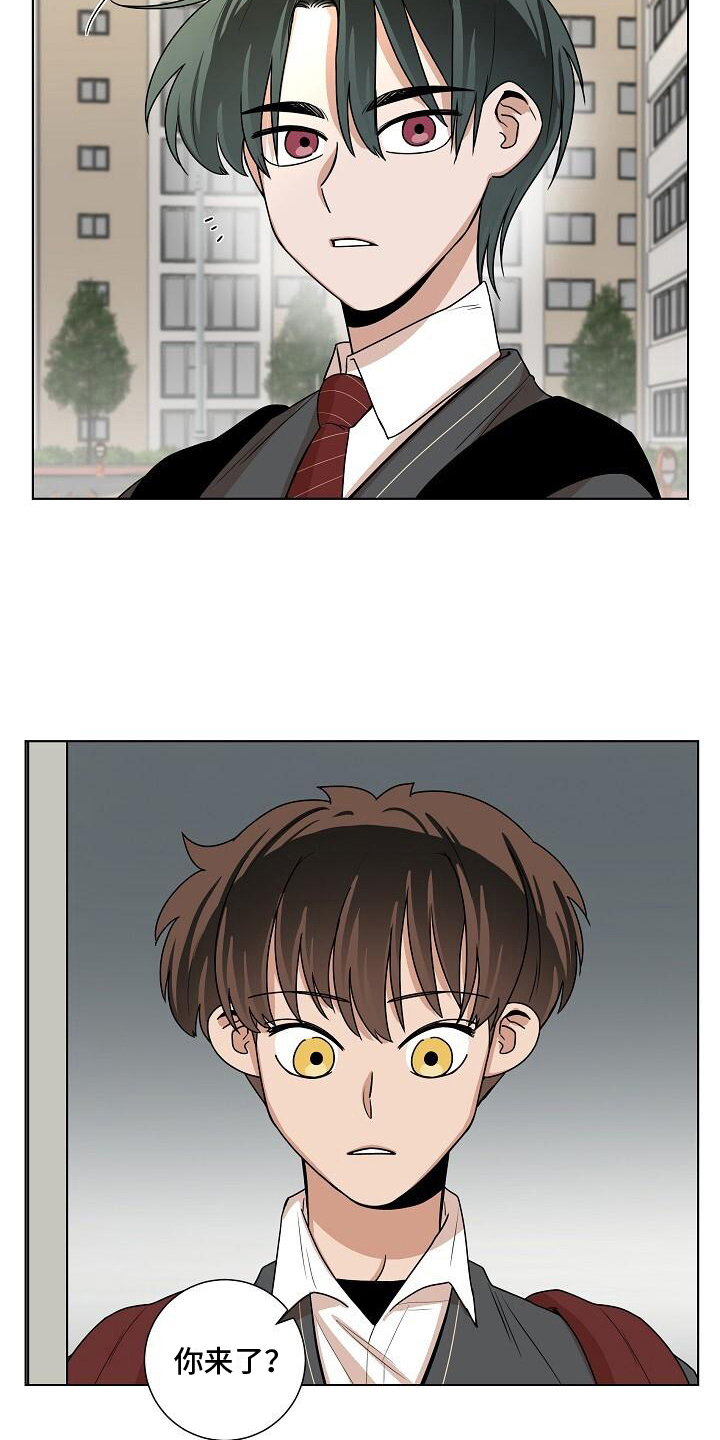 第20章：似曾相识11
