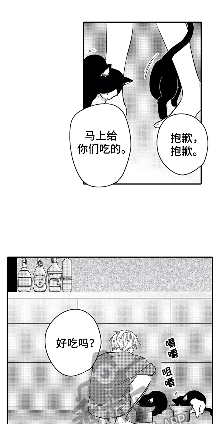 第26章：安排0