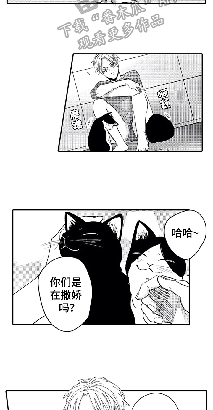 第26章：安排1