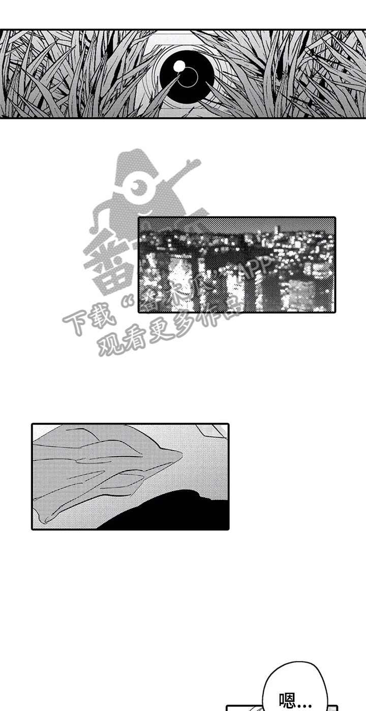 第25章：偷拍14