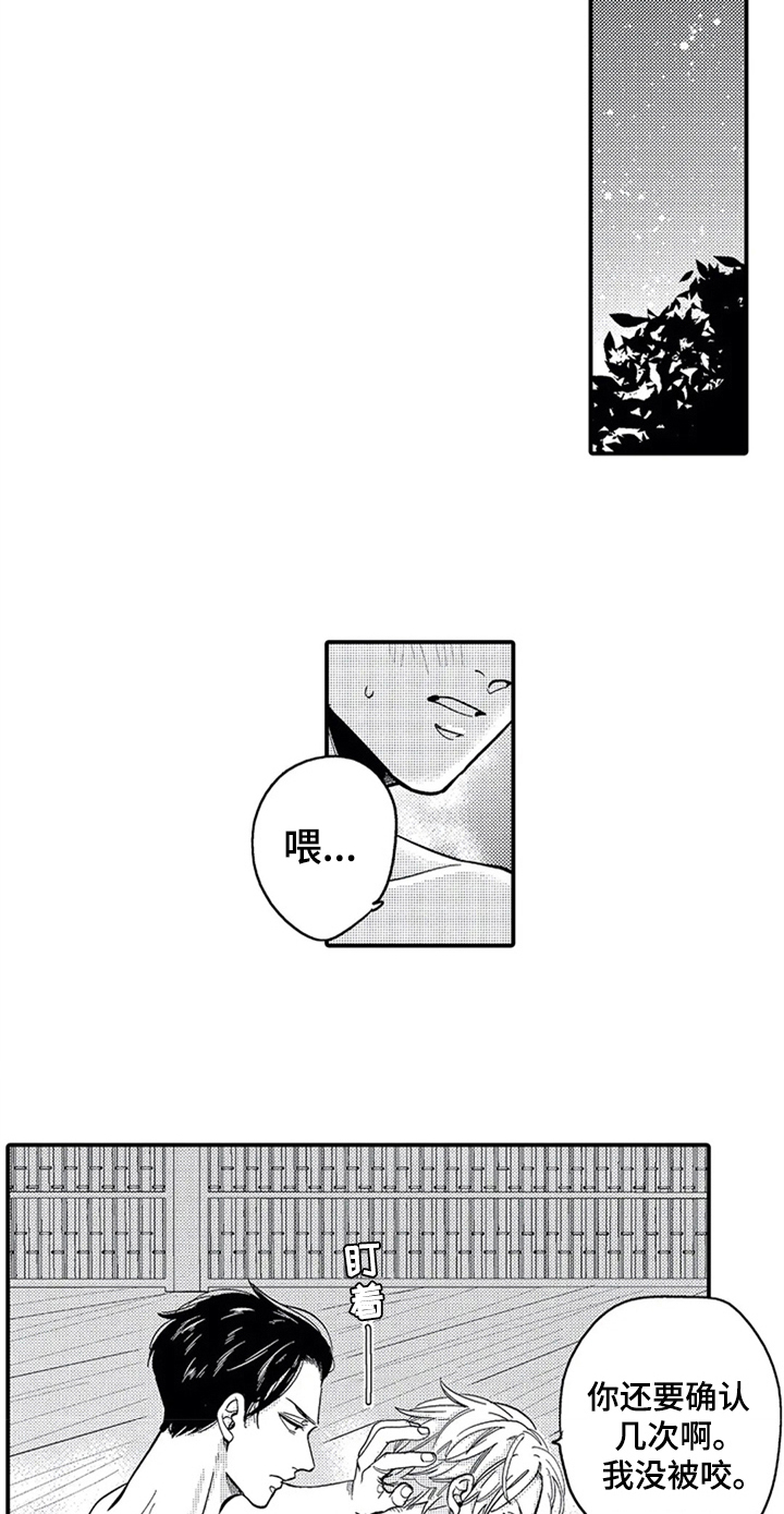 第19章：经历5