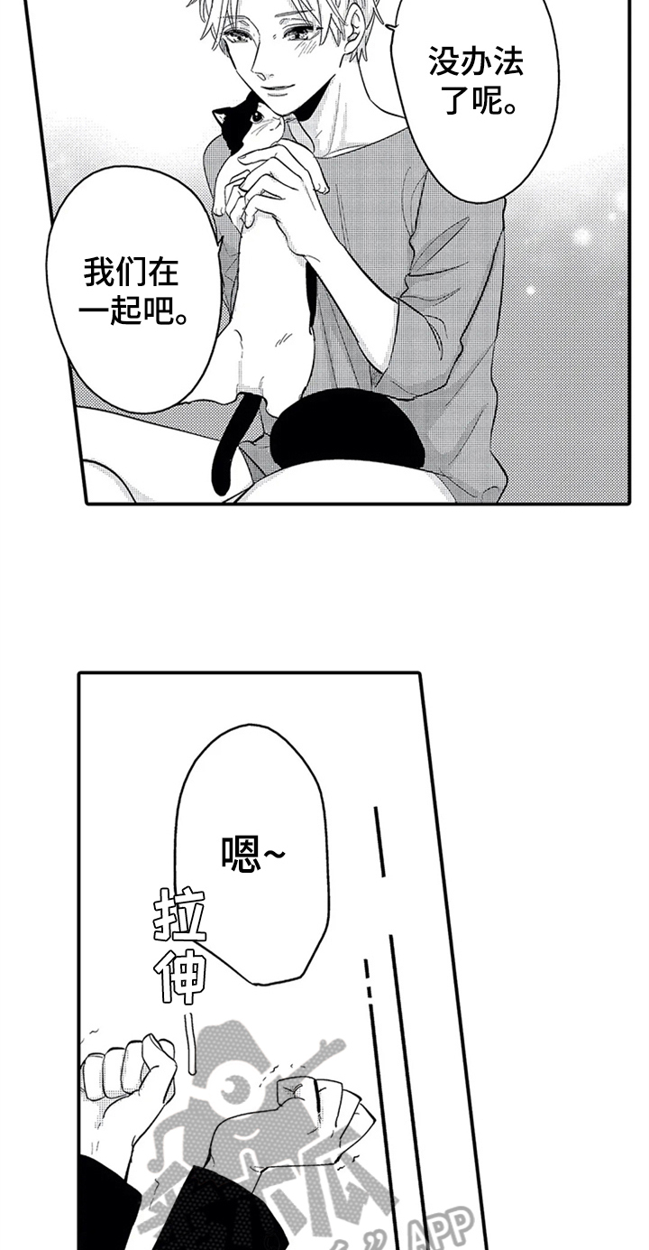 第26章：安排2