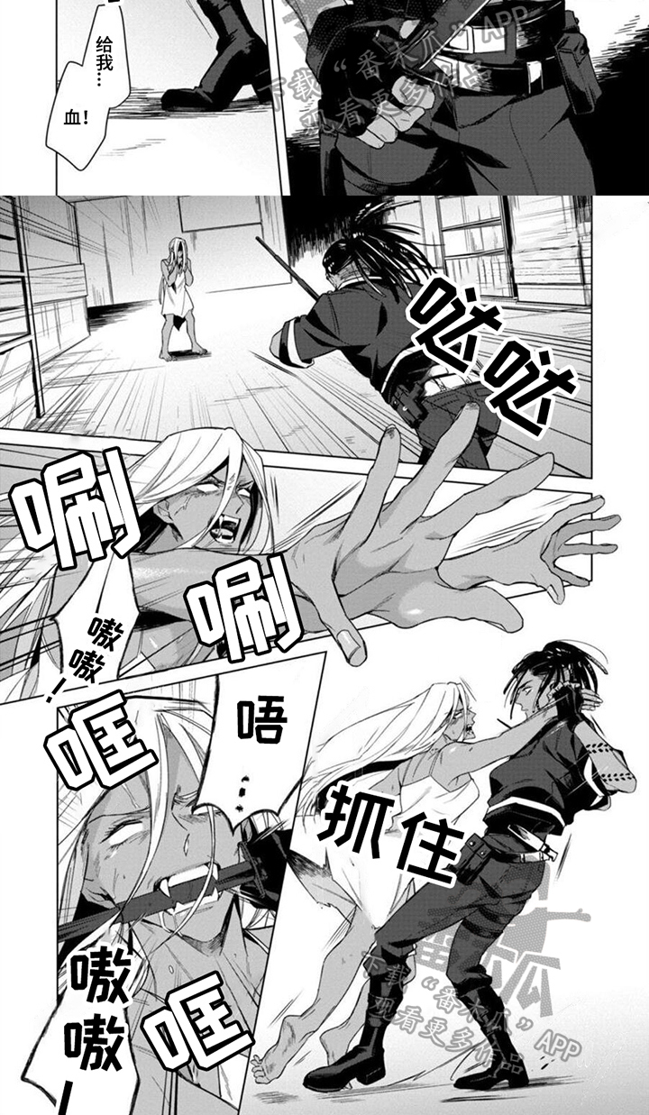 第4章：专业5