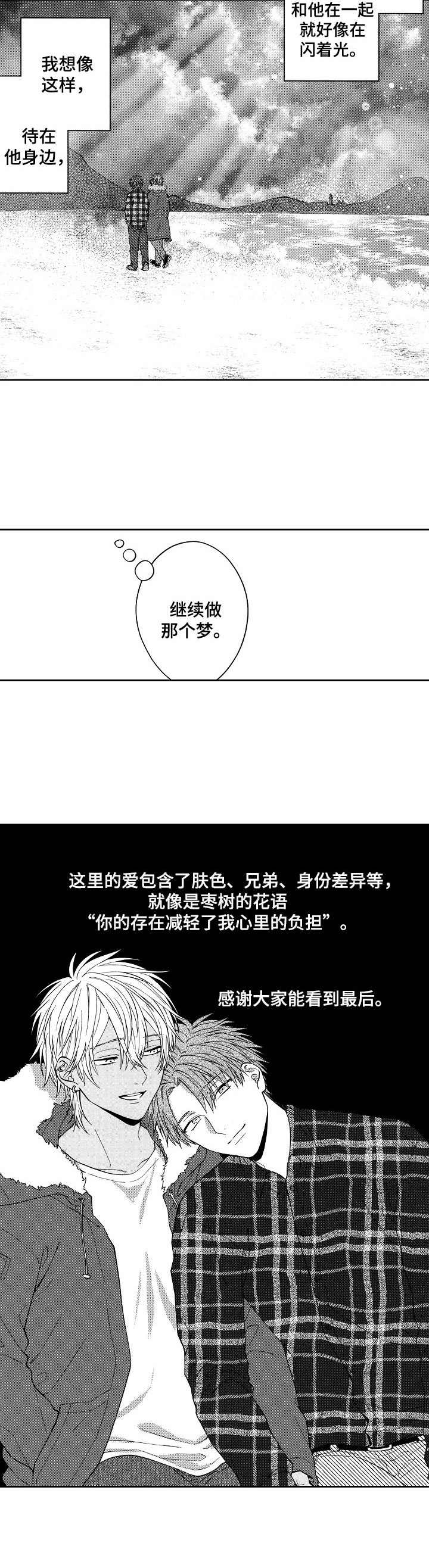 第25章：闪光（完结）11