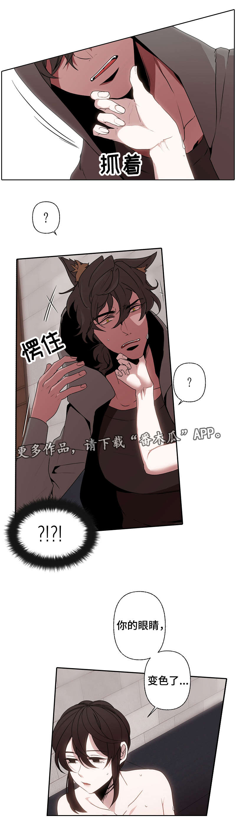 第46章：香味6