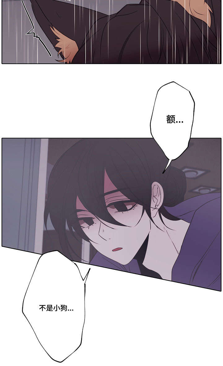 第1章：小白帽12