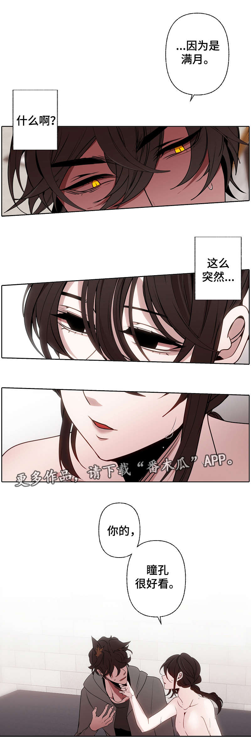 第46章：香味7