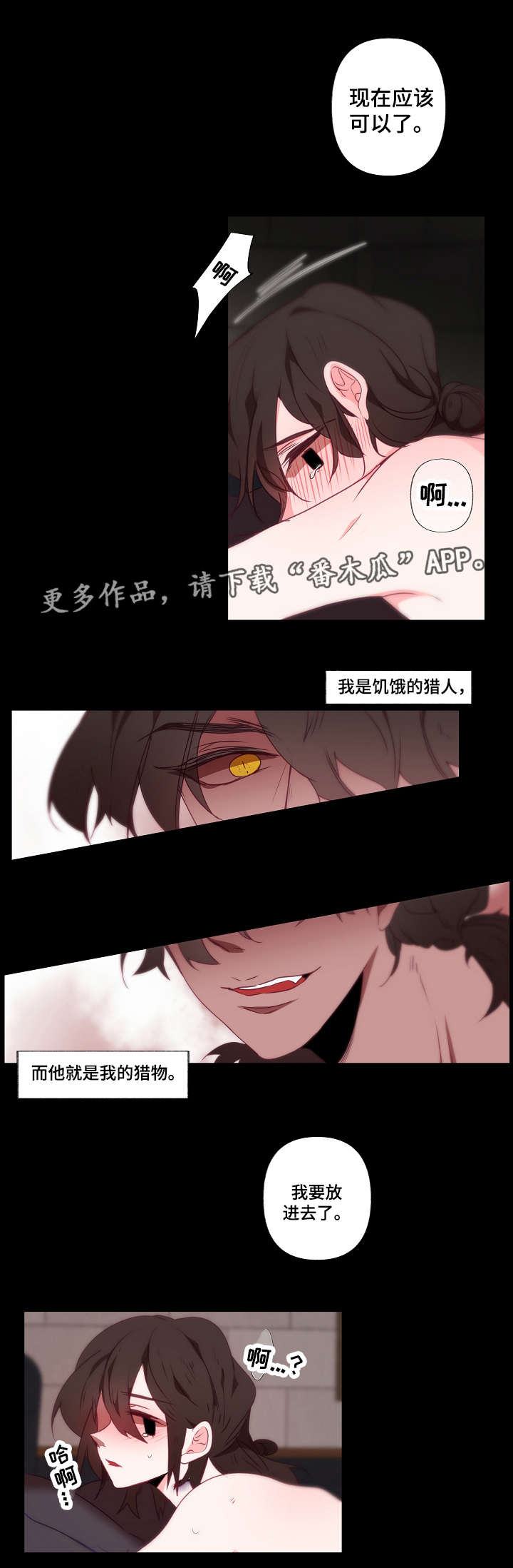 第11章：配合2