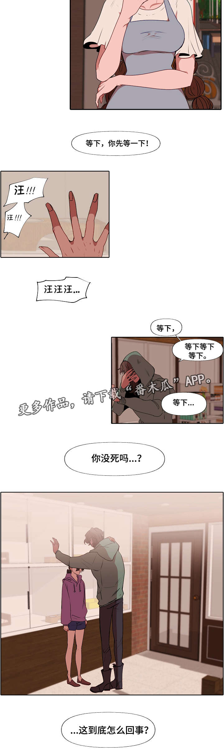 第7章：错觉6
