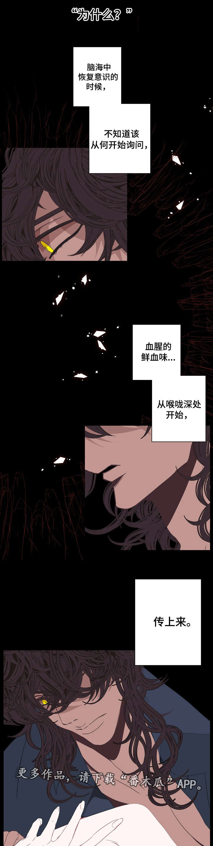 第67章：意义6