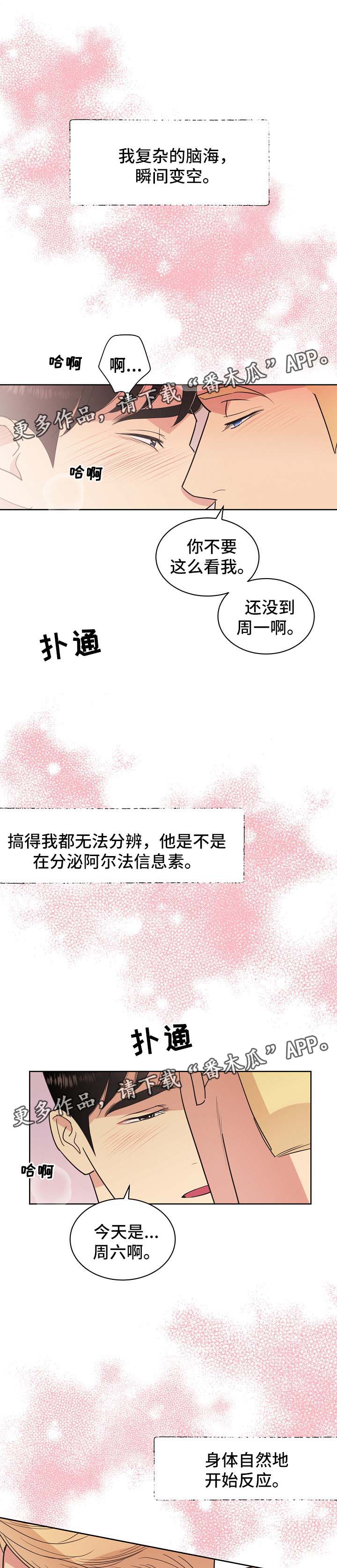 第43章：不能被发现6