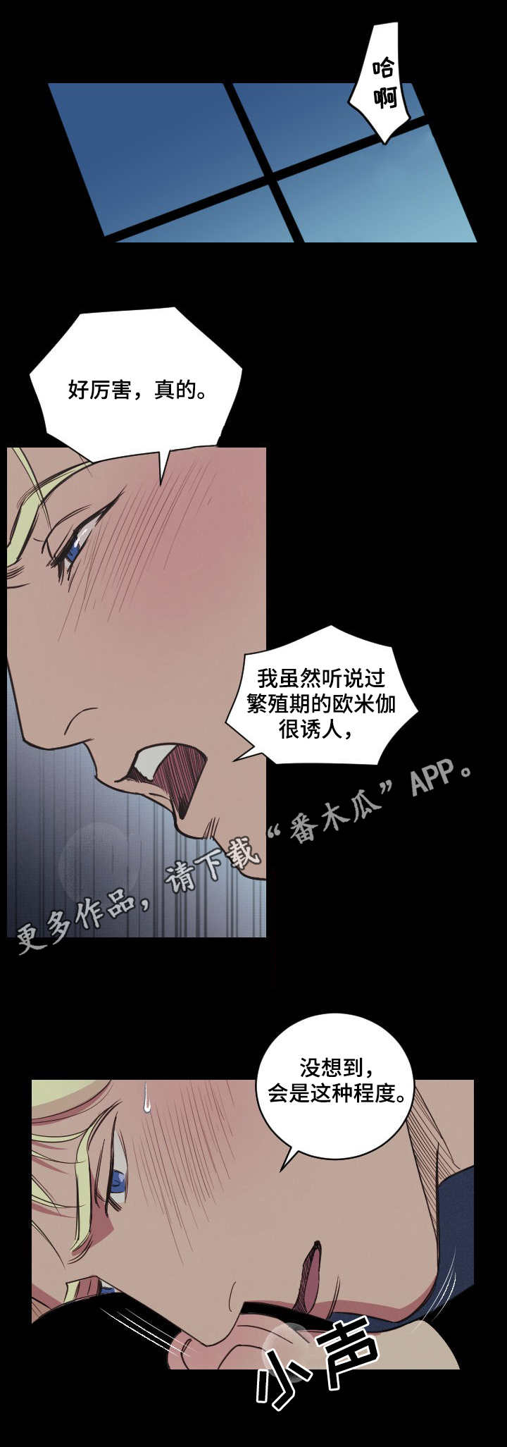 第3章：花艺师9