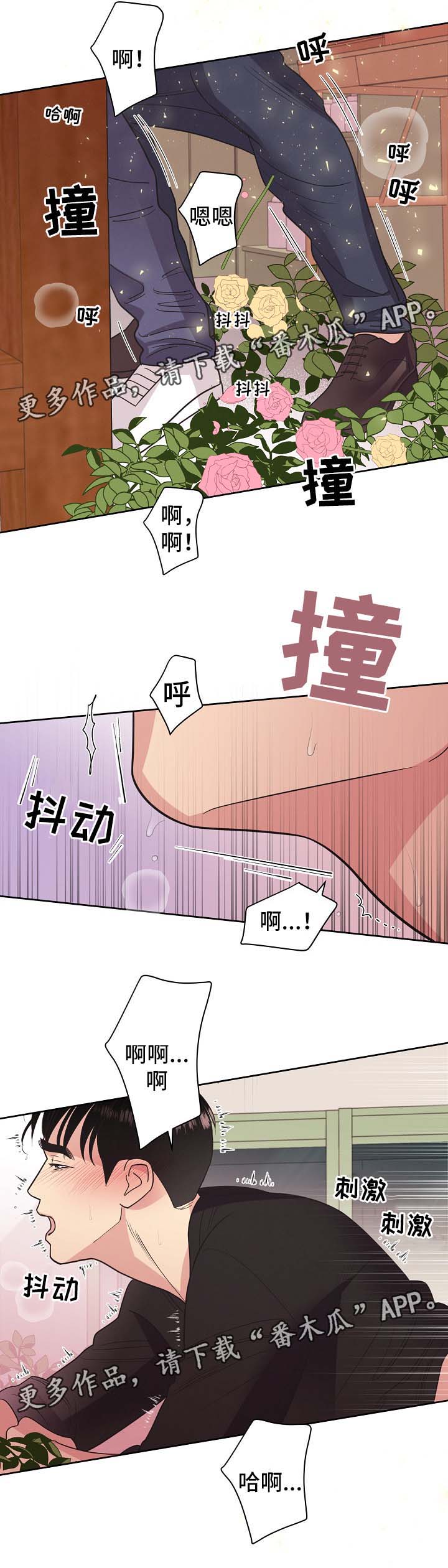 第43章：不能被发现11