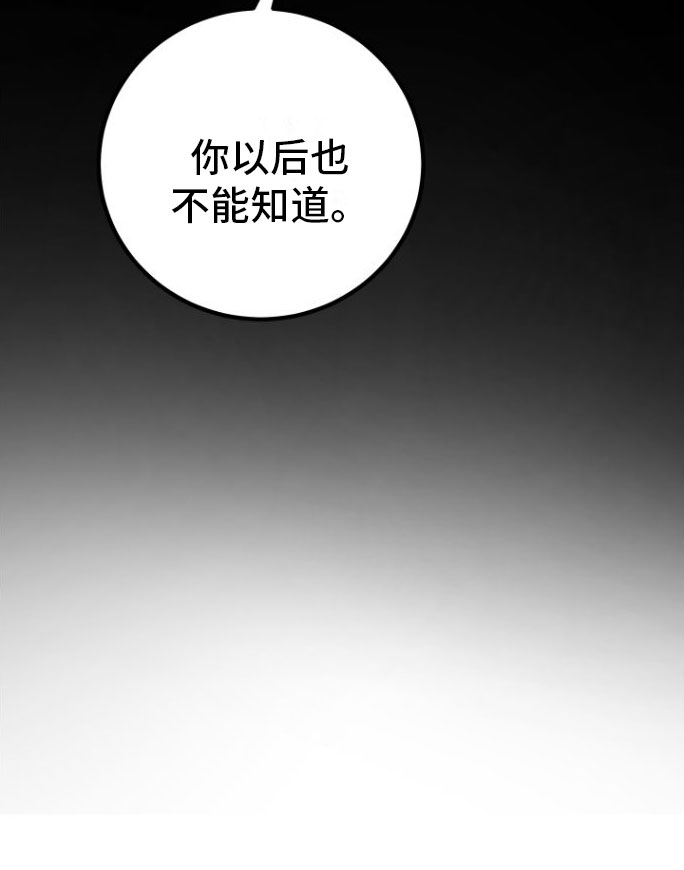 第3章：大型演唱会12