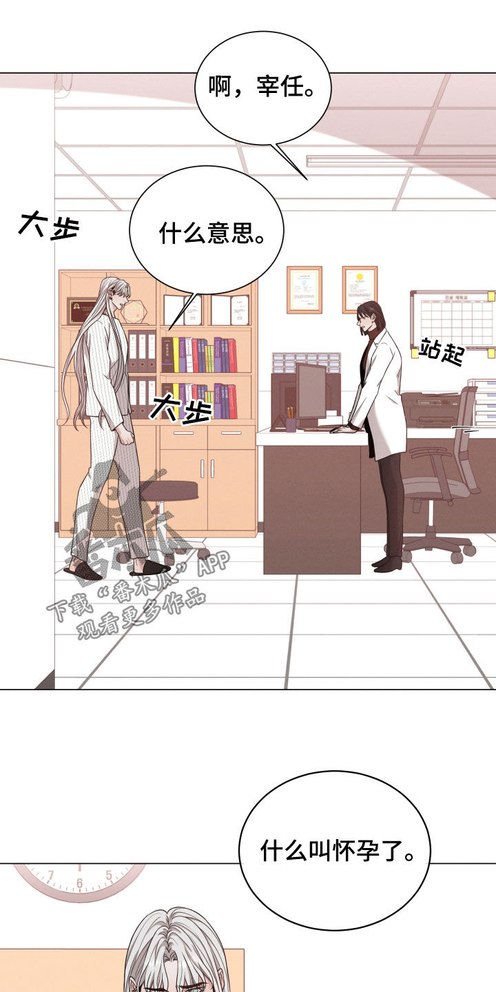 第97章：【第二季】怀孕9