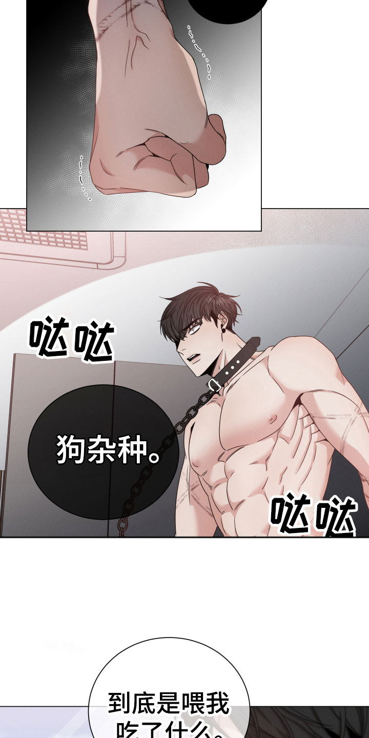 第11章：听说7