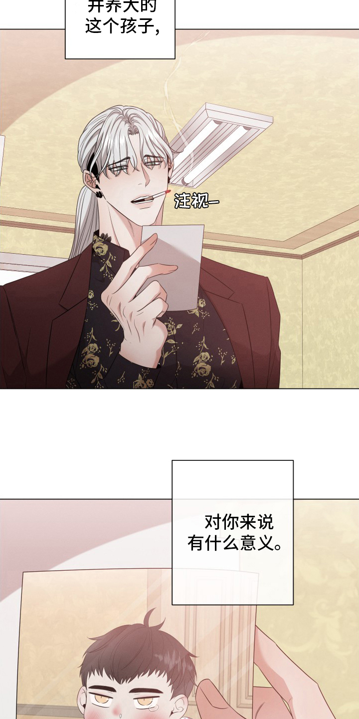 第31章：讨人厌11