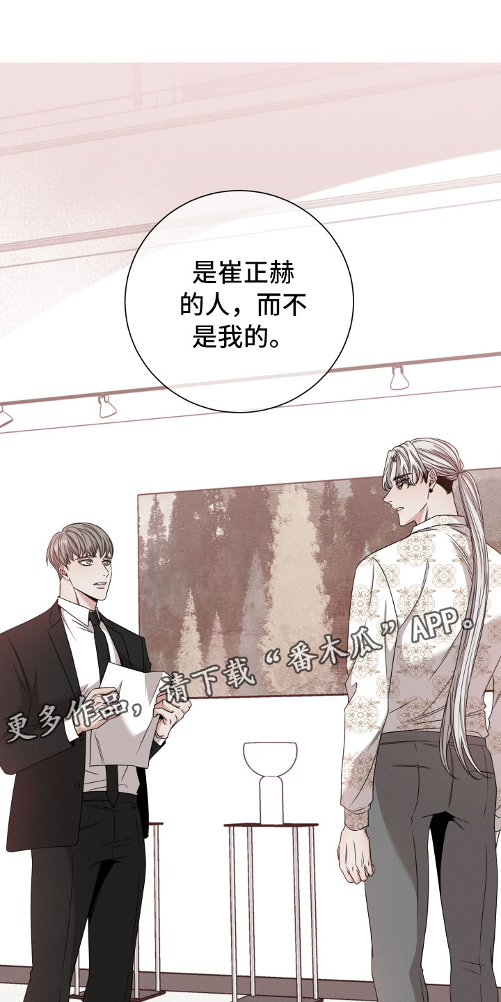 第13章：报告12
