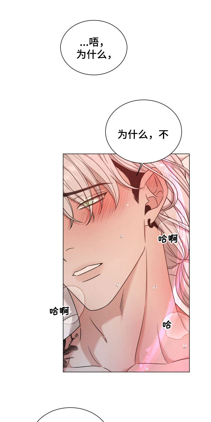 第69章：【第二季】全部给我12