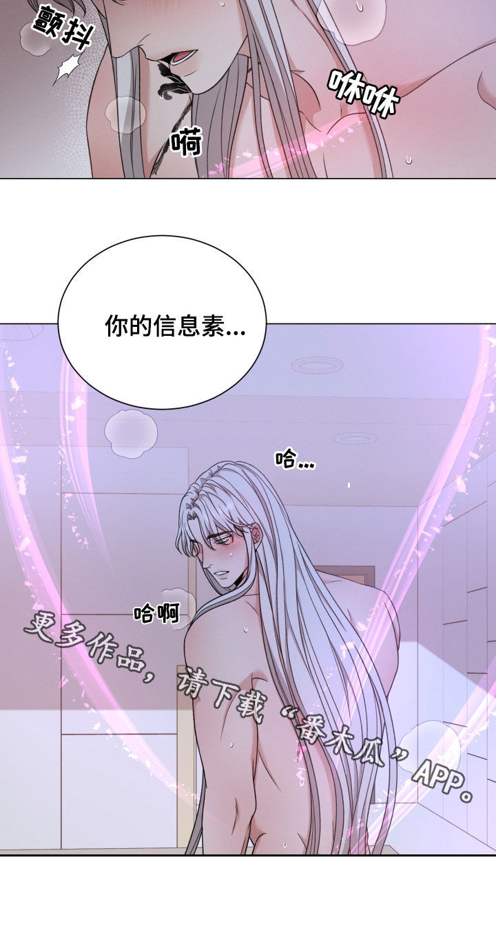 第102章：【第二季】不让你们受伤32