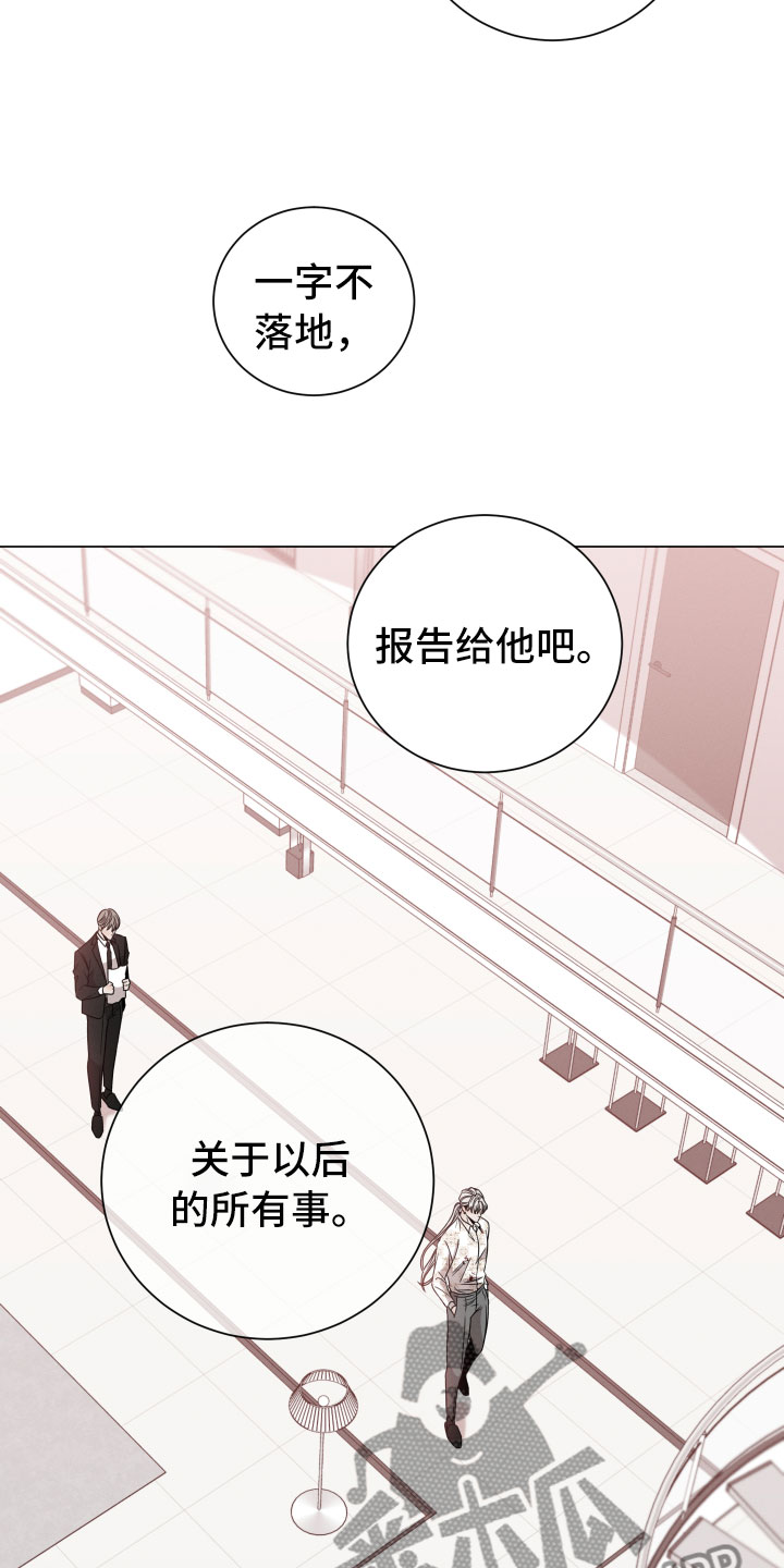 第13章：报告14