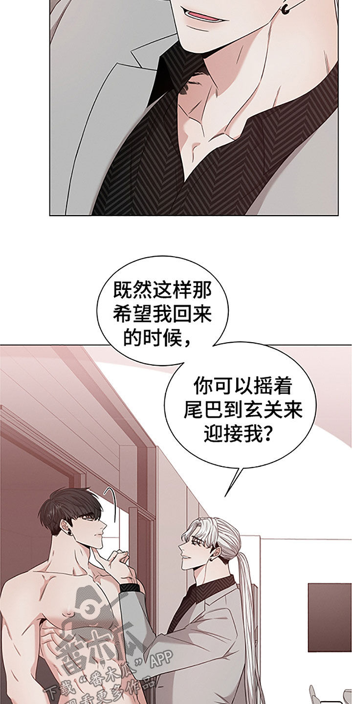 第42章：重要的客人15