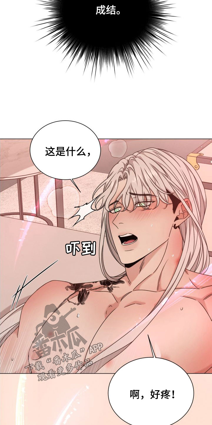 第70章：【第二季】不要受伤17