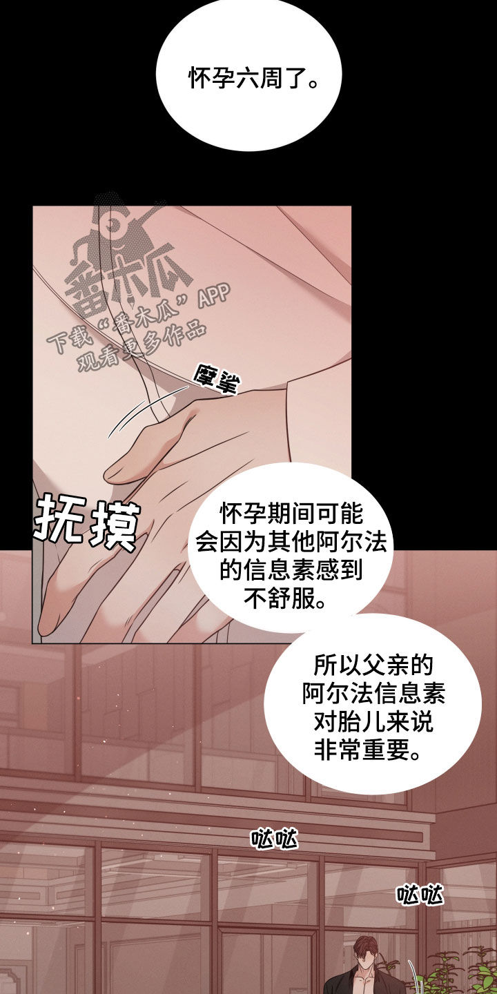 第56章：怀孕21