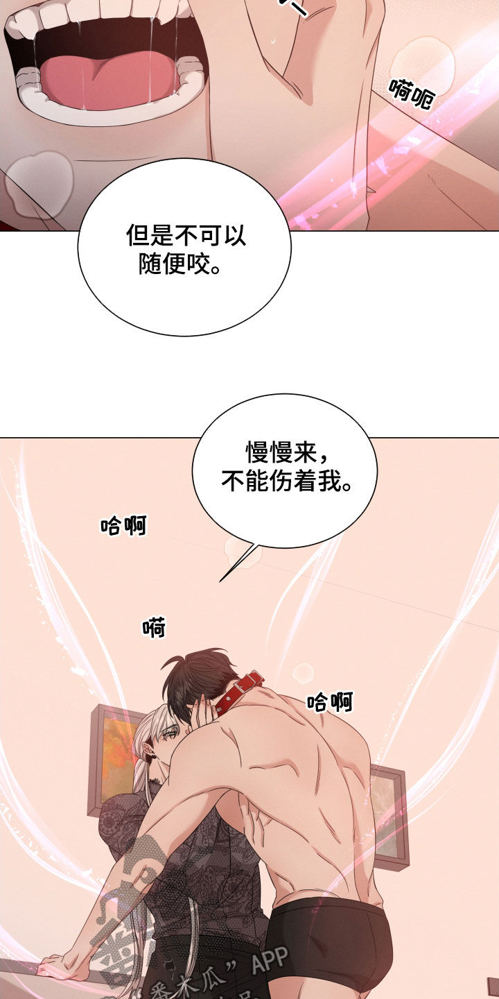 第27章：花香11