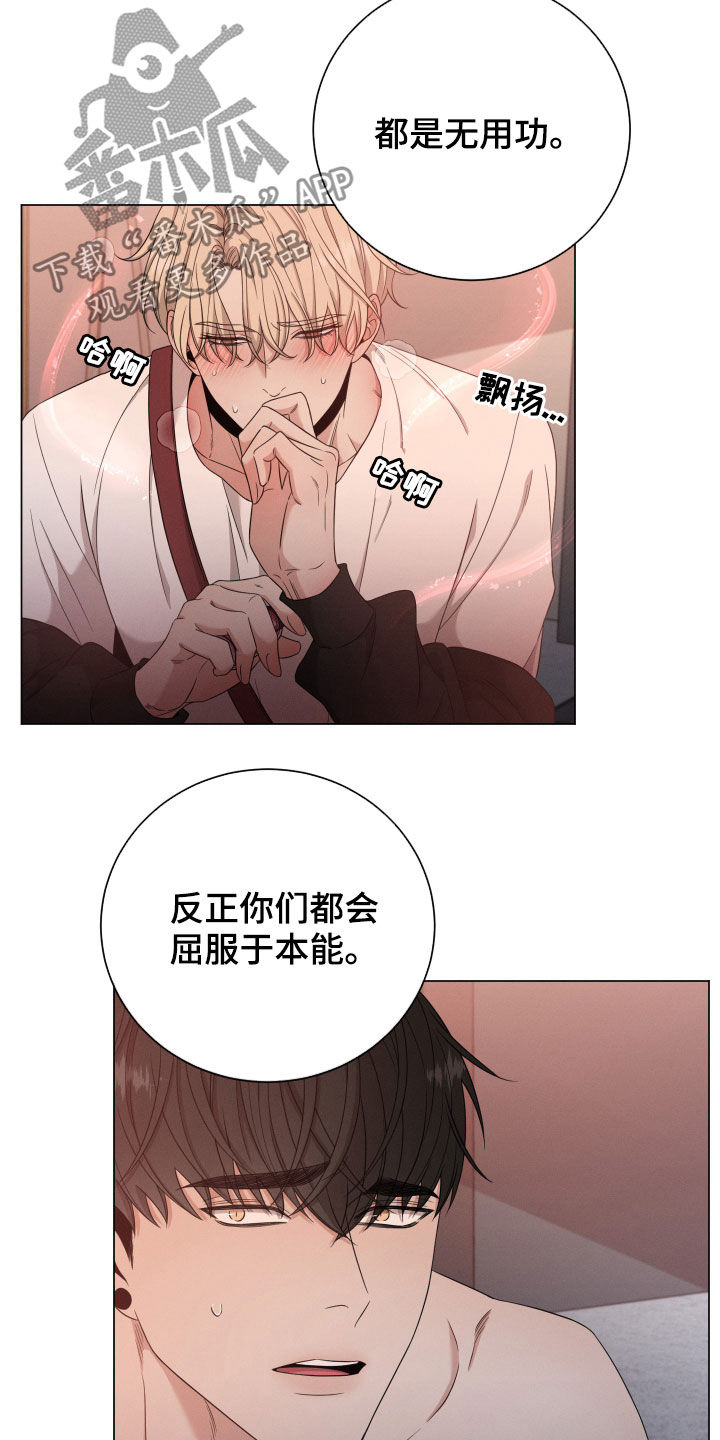 第17章：危险15