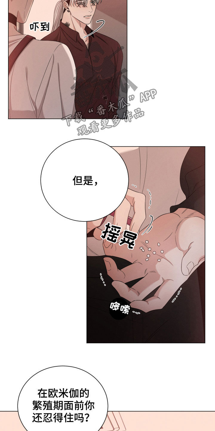 第17章：危险11