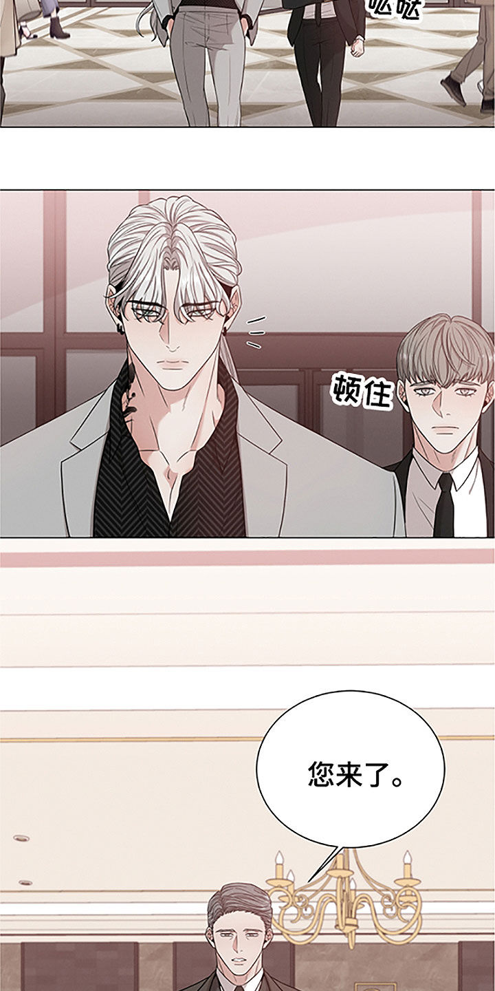 第42章：重要的客人19