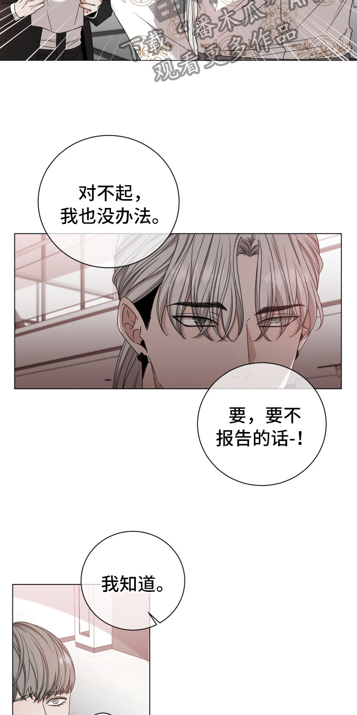 第13章：报告10