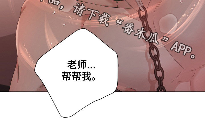 第17章：危险29