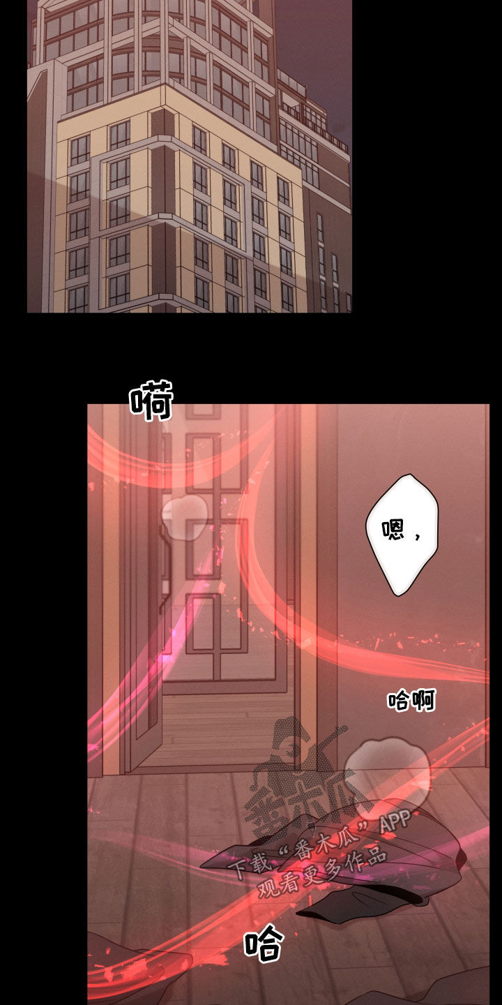 第56章：怀孕15