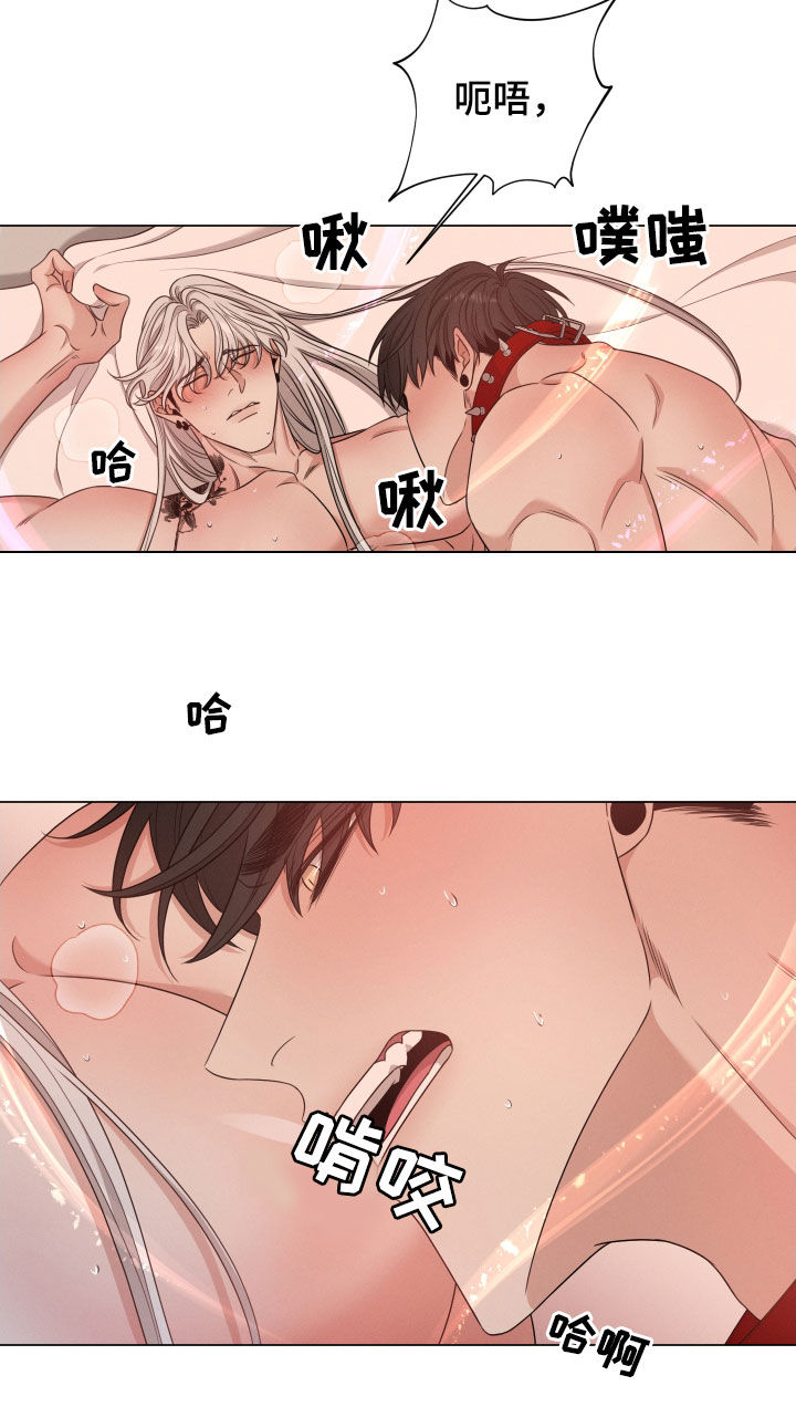 第28章：特征消失11
