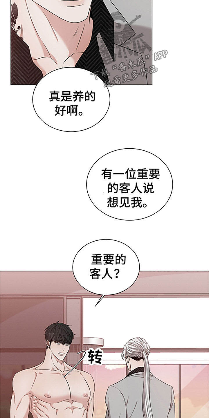 第42章：重要的客人11
