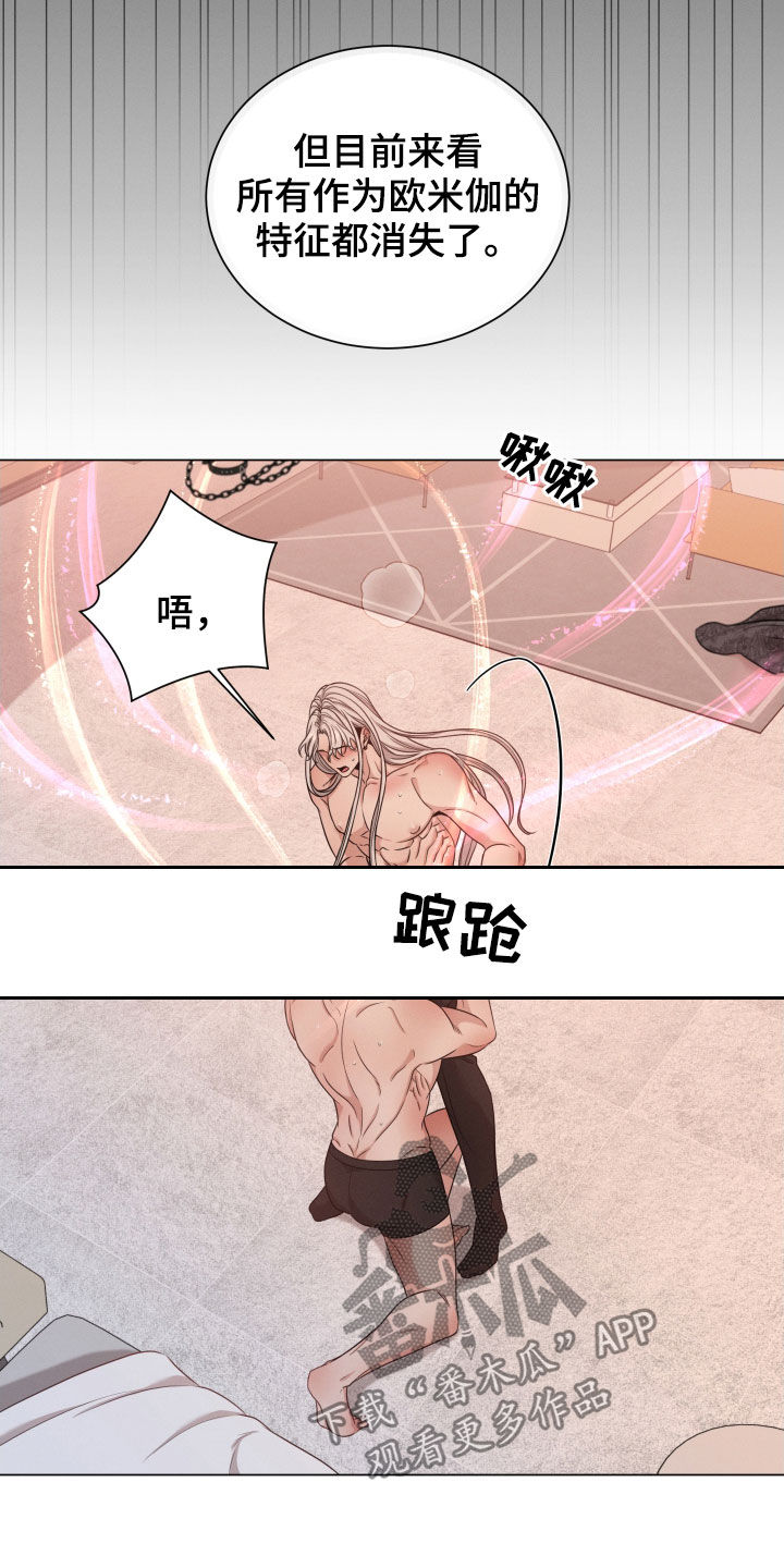 第28章：特征消失8
