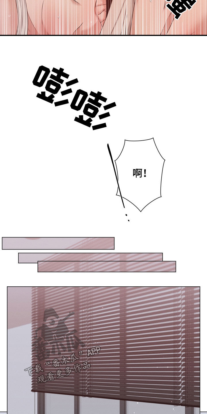 第41章：没人可以动你13