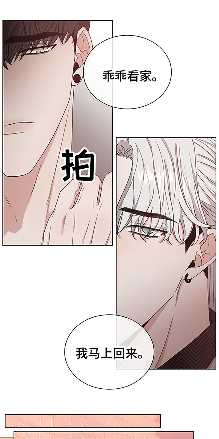 第42章：重要的客人17