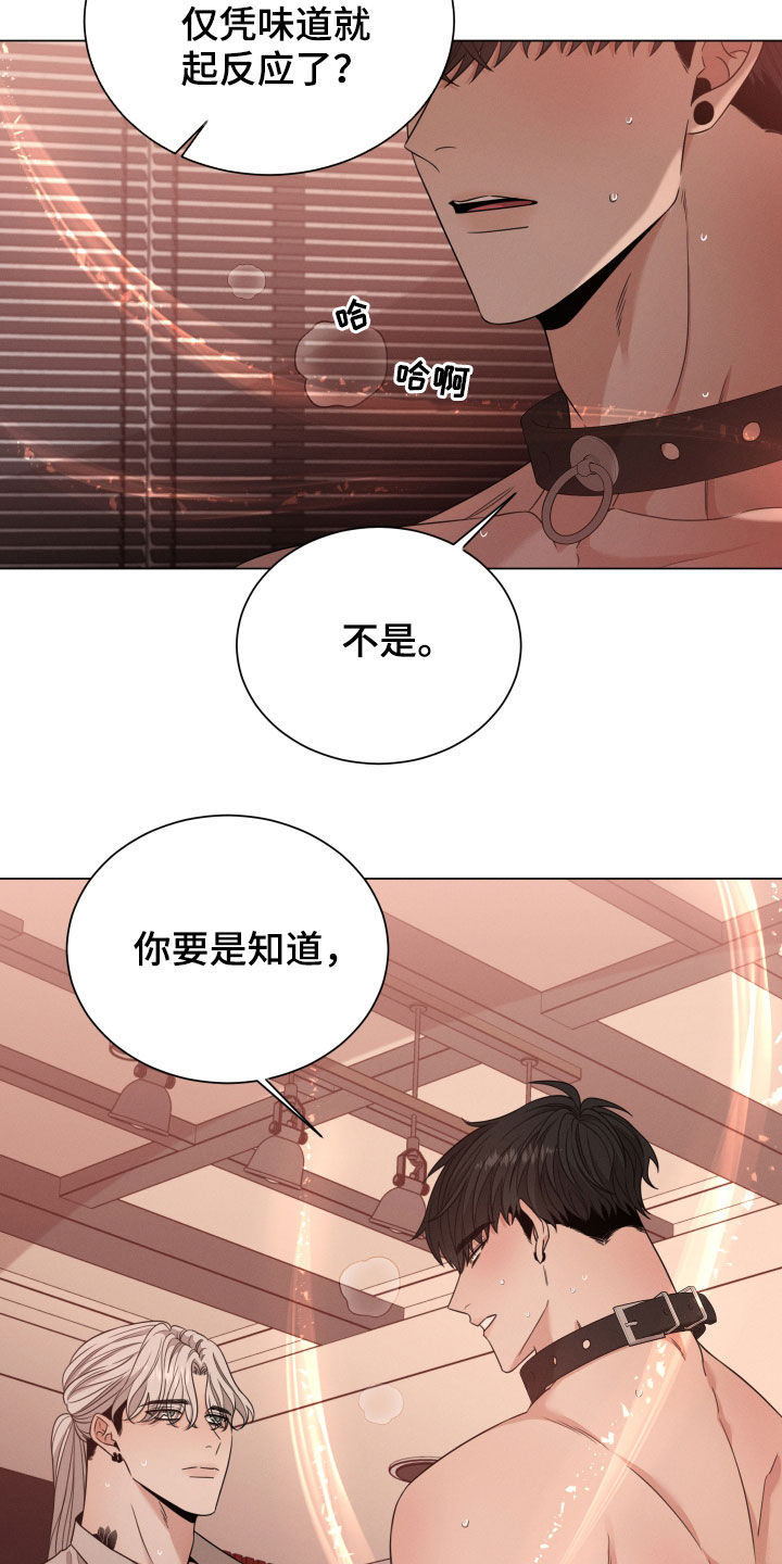第39章：唯一18