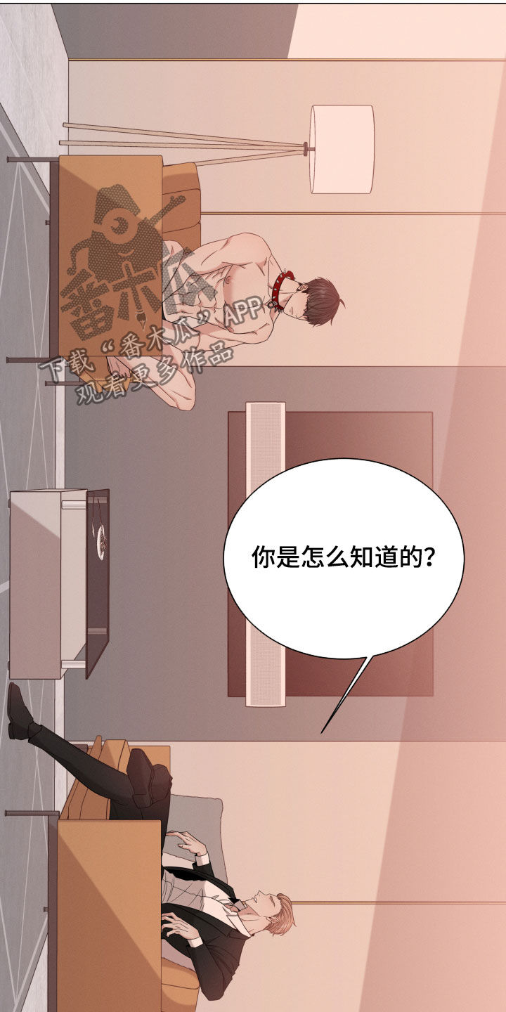 第24章：名贵的种类4